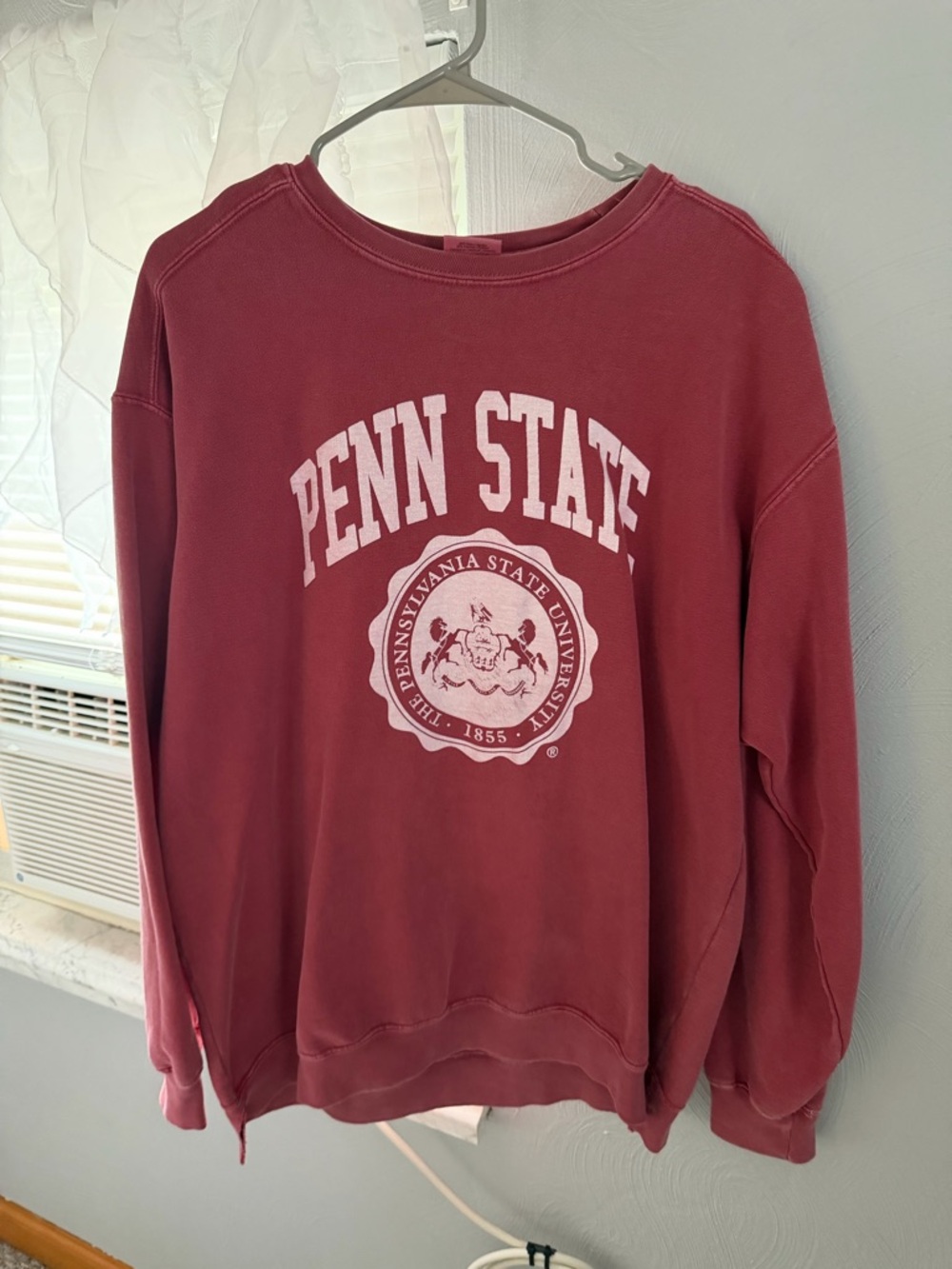 Comfort Colors Dusty Rose Graphic Crewneck Sweatshirt